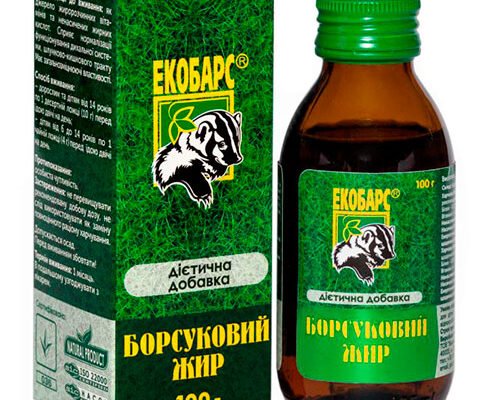 Борсуковий жир: лікувальні властивості та використання в медицині
