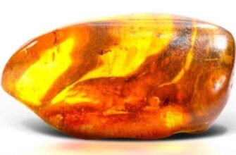 Бурштин: властивості, користь та застосування цього дивовижного каменю