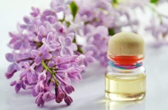 Бузок: Лікувальні Властивості та Застосування в Народній Медицини