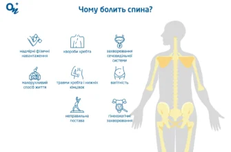 Чи може кишечник бути причиною болю у спині: що варто знати?