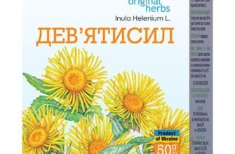 Дев’ятисил: цілющі властивості та користь для здоров’я та імунітету