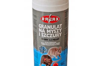 Ефективна отрута від щурів: реальні відгуки та поради користувачів