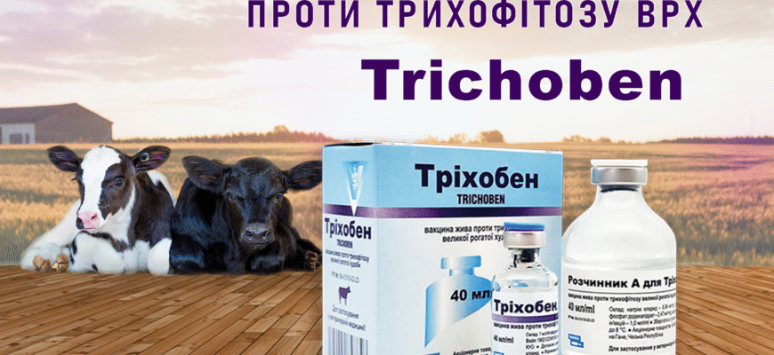 Ефективна вакцинація свиней: захист від парвовірусу для вашого господарства