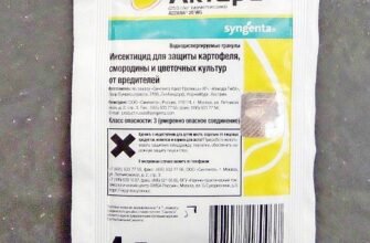 Ефективне використання препарату Актарa для боротьби з білокрилкою