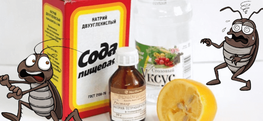 Ефективні домашні засоби від тарганів: позбутися шкідників назавжди