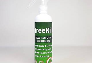 Ефективні гербіциди для боротьби з небажаними деревами на ділянці