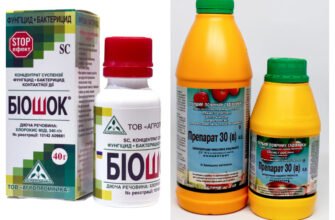 Ефективні препарати для боротьби з моніліозом: захист саду від хвороби