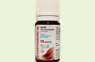 Ефективні препарати для лікування кокцидіозу у курчат: огляд і поради