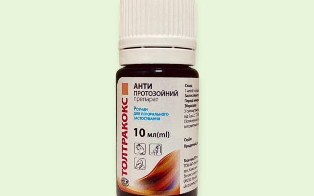 Ефективні препарати для лікування кокцидіозу у курчат: огляд і поради