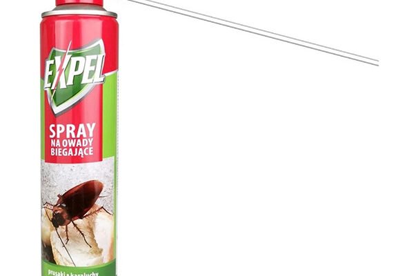 Ефективні спреї від тарганів: як обрати найкращий засіб для дому