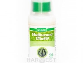 Ефективні засоби для обробки моркви: як боротися з бур’янами?