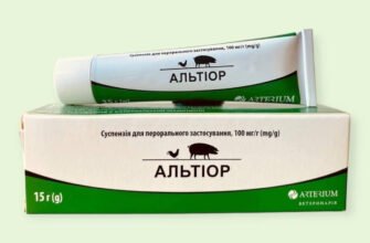 Ефективні засоби для захисту свиней від глистових інвазій