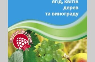 Ефективні засоби парацельсу від хвороб: секрети і застосування
