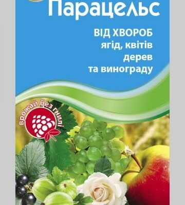 Ефективні засоби парацельсу від хвороб: секрети і застосування