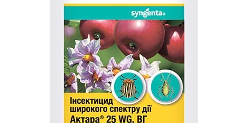 Ефективність Актари: Захист рослин від павутинного кліща
