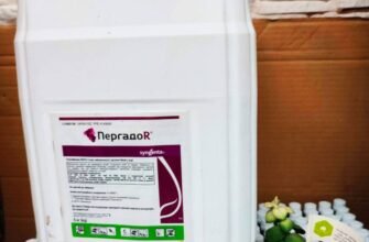 Ефективність препарату Пергадо у боротьбі з фітофторою: огляд і рекомендації