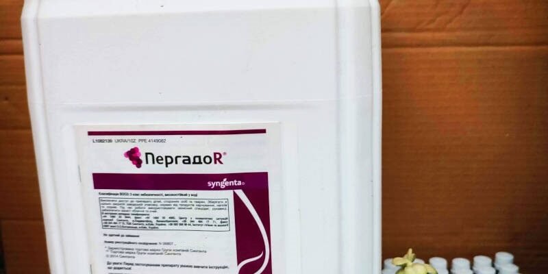 Ефективність препарату Пергадо у боротьбі з фітофторою: огляд і рекомендації