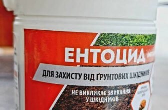 Ефективний ентоцид від хруща: захист вашого врожаю від шкідників
