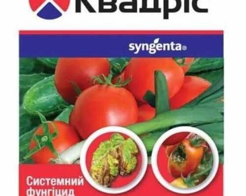 Ефективний фунгіцид від фузаріозу: захистіть ваші рослини зараз!