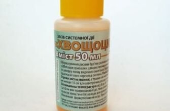 Ефективний гербіцид для боротьби з хвощем польовим на картоплі