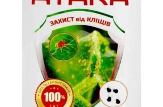 Ефективний інсектицид від кліщів: надійний захист та поради по застосуванню