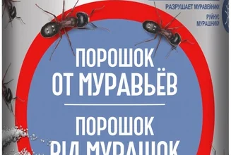 Ефективний порошок від мурашок: як вибрати та застосувати правильно