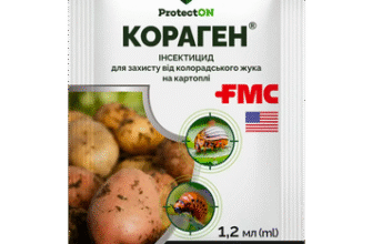 Ефективний препарат від жуків: як обрати найкращий засіб для захисту?