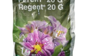 Ефективний регент від дротяника: як захистити ваш врожай якісно