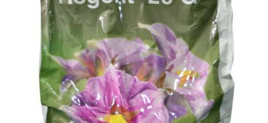 Ефективний регент від дротяника: як захистити ваш врожай якісно