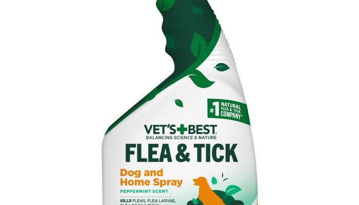 Ефективний спрей від комах: захистіть свій дім та здоров’я