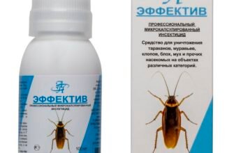 Ефективний засіб від клопів: як швидко позбутися шкідників вдома