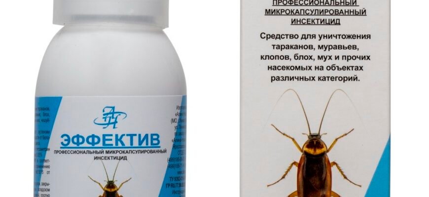 Ефективний засіб від клопів: як швидко позбутися шкідників вдома