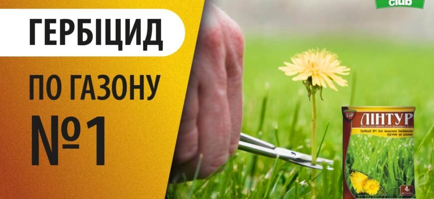 Гербіциди для ефективного знищення бур’янів на вашому газоні