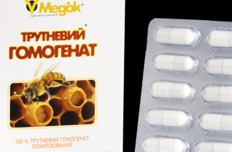 Гомогенат бджолиний: ключові властивості та користь для здоров’я