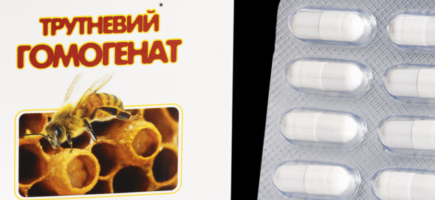 Гомогенат бджолиний: ключові властивості та користь для здоров’я