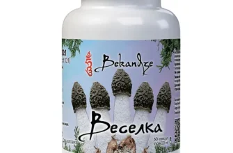 Гриб веселка: унікальні лікувальні властивості для вашого здоров’я