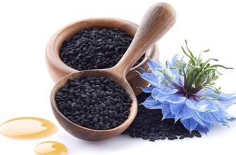 Кмин: Лікувальні Властивості та Використання Насіння для Здоров’я