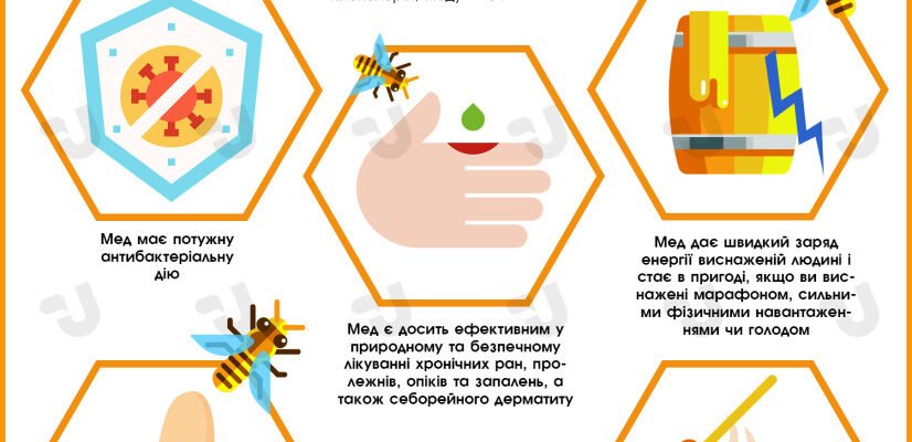Корисні та шкідливі властивості меду: дослідження і поради експертів
