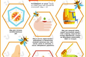 Корисні властивості меду: чому цей натуральний продукт такий важливий