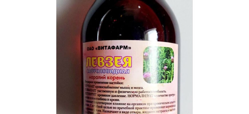 Левзея: лікувальні властивості та застосування для здоров’я людини