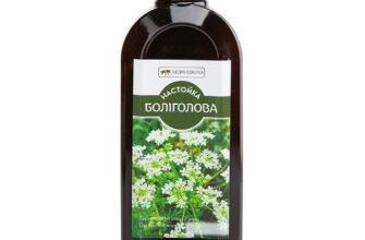 Лікувальні властивості болиголова: користь, застосування та застереження