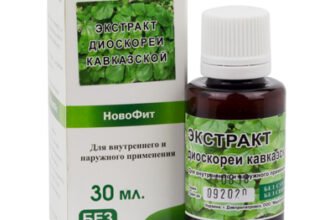 Лікувальні властивості діоскореї: корисні поради та застосування Лікувальні властивості діоскореї: корисні поради та застосування