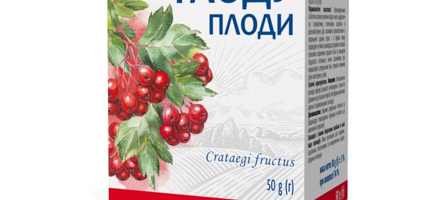 Лікувальні властивості глоду: ефективні засоби для вашого здоров’я
