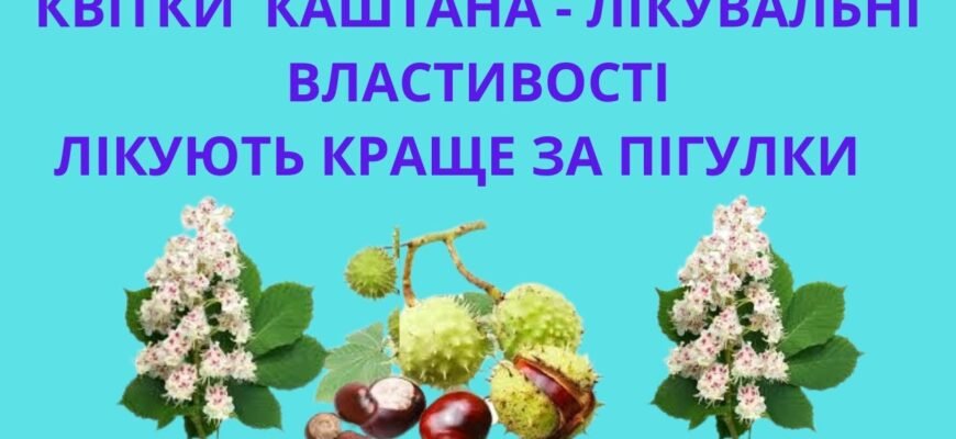 Лікувальні властивості кінського каштану: секрети природи для здоров’я
