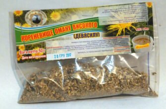 Лікувальні властивості кореня оману: природний засіб для здоров’я