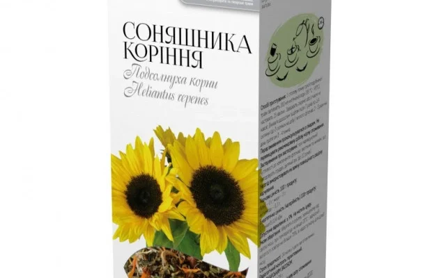 Лікувальні властивості кореня соняшника: секрети здоров’я з природи