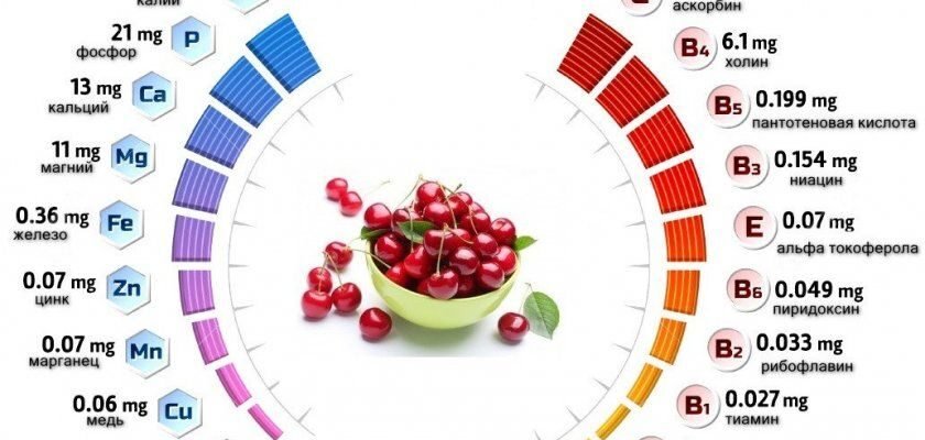 Лікувальні Властивості Листя Вишні: Корисні Застосування та Переваги
