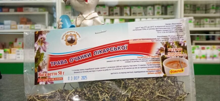 Лікувальні властивості очанки: природний зір і здоров’я очей