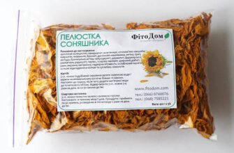 Лікувальні властивості пелюсток соняшника: природна сила зцілення