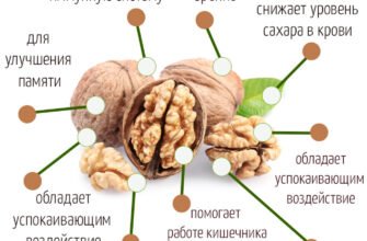 Лікувальні властивості перетинок грецького горіха: користь для здоров’я